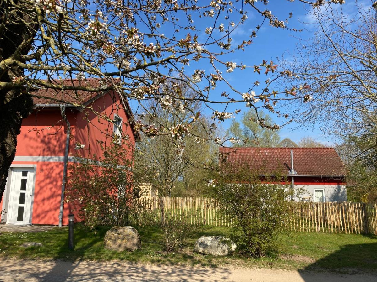 Urlaubsoase Ostsee Hohen Schoenberg Екстер'єр фото